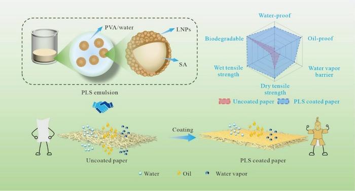 Paper That Repels Water Like Plastic But Dissolves When You’re Done With It