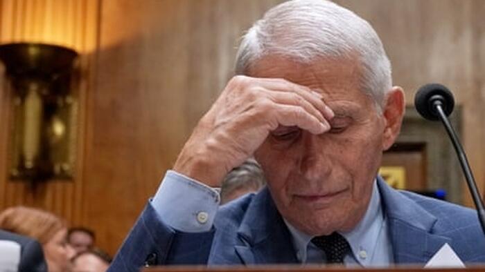 Fauci Privately Flagged Miscarriage Risk Before Telling Pregnant Women There Were 'No Red Flags'
