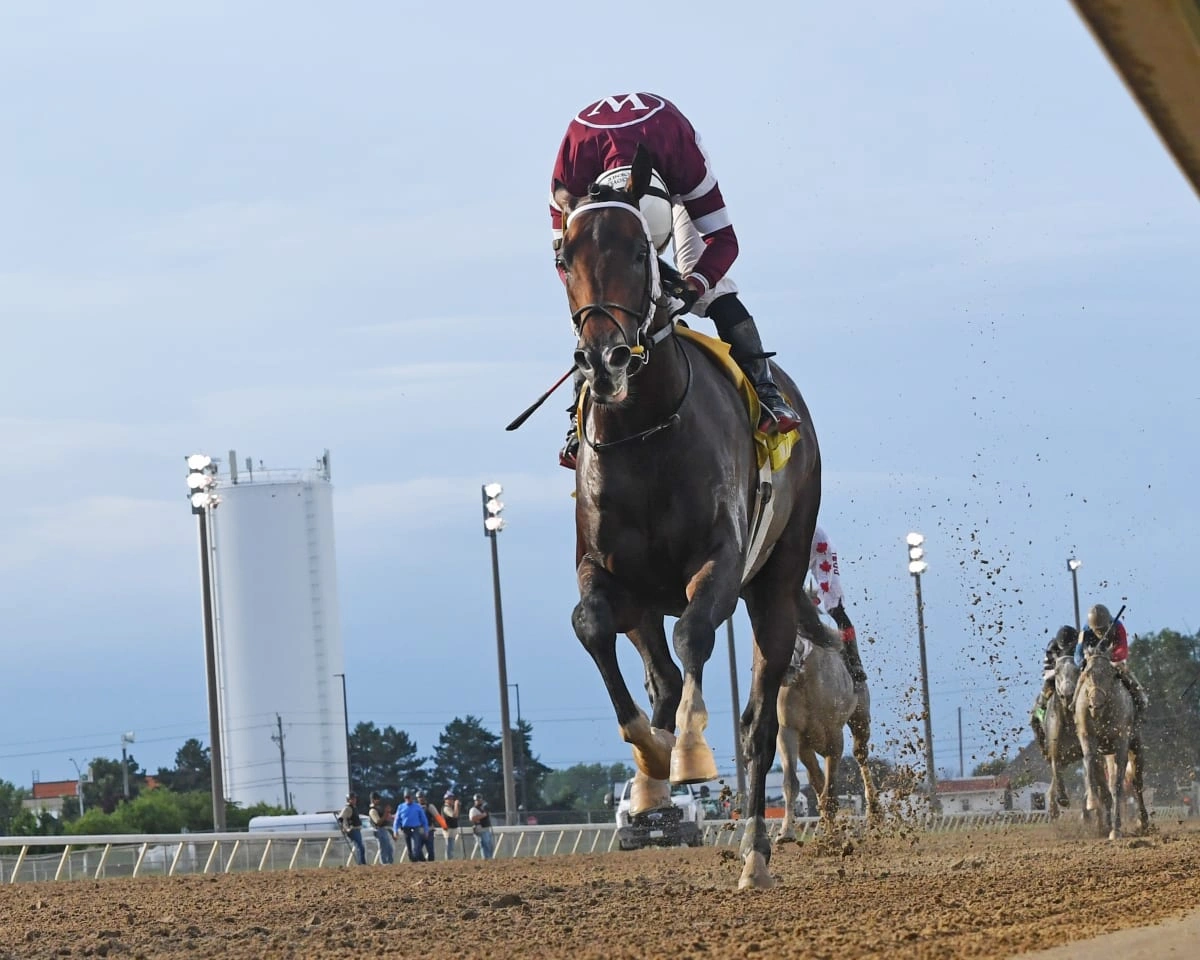 Whitney Stakes Horse-by-Horse Analysis, Odds, Picks