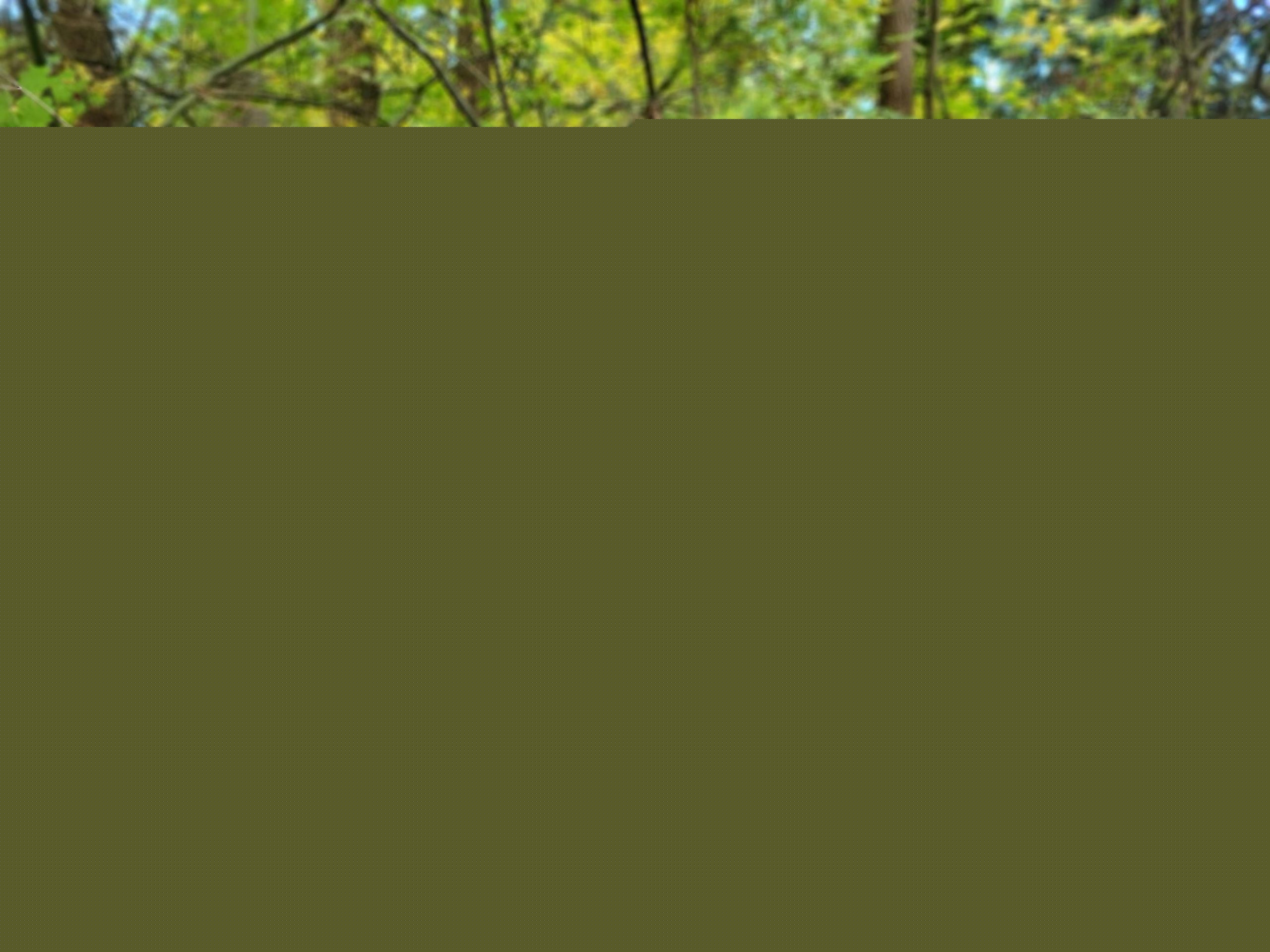 Snohomish County seeks applicants for Climate Action Advisory Committee