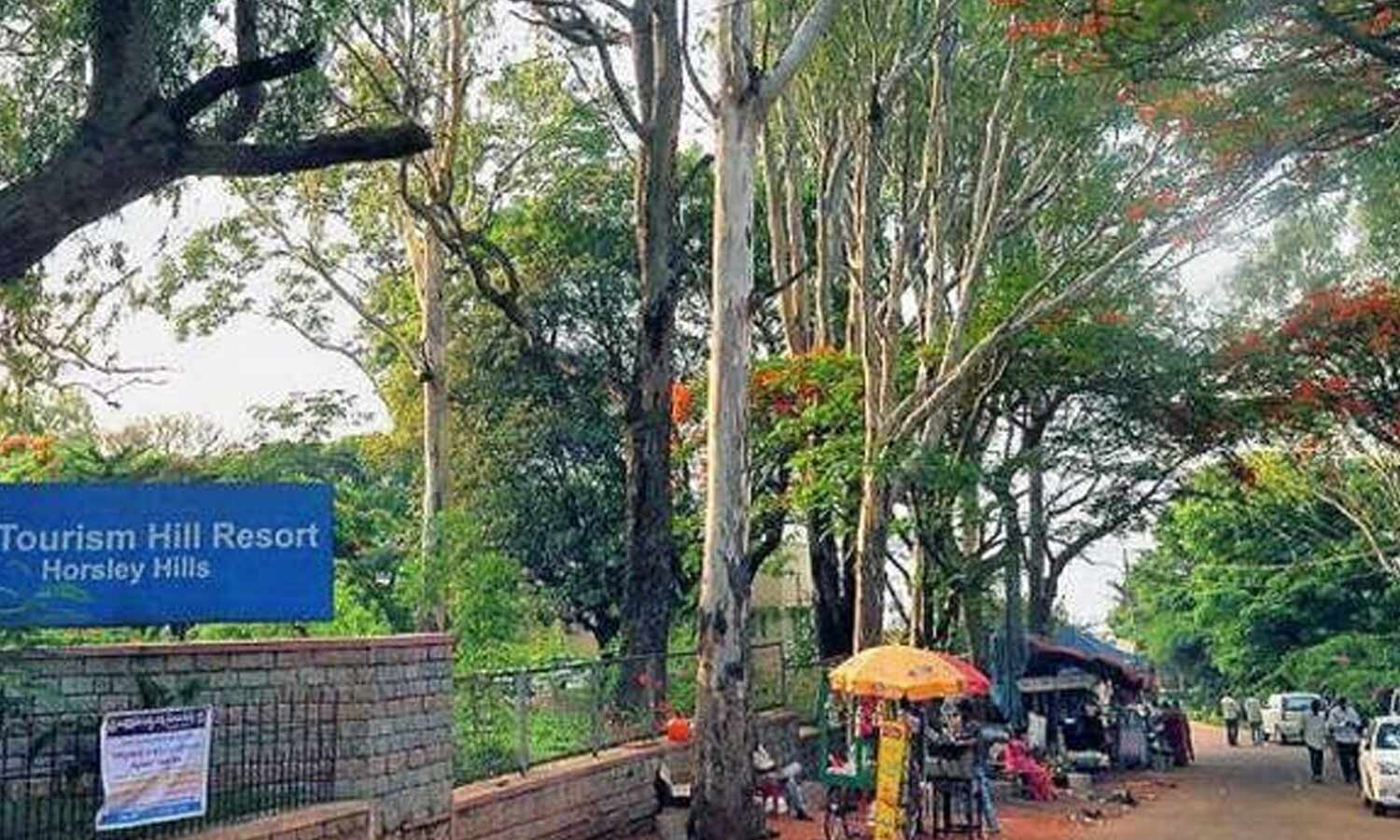 Horsley Hills steps up green drive amid rising tourist footfall