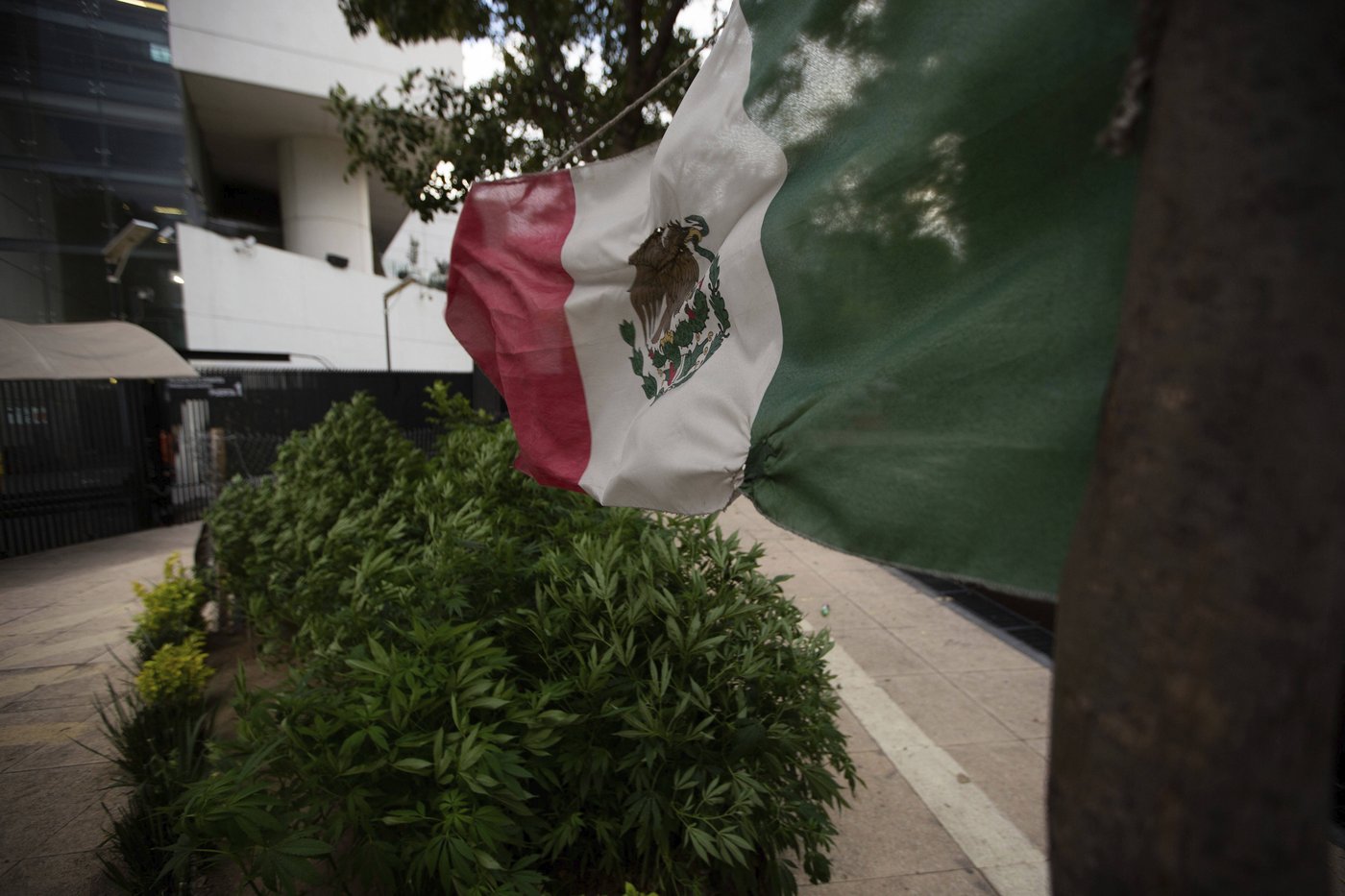 Vancouver-based Vizsla Silver Corp. reports 10 people ‘taken’ from Mexican mine site
