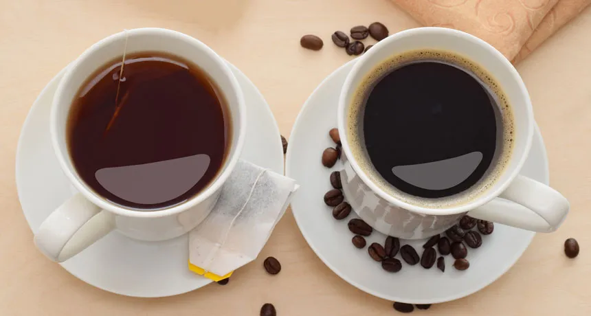 Comment on Coffee or tea? Your preference may be written in your DNA by Coffee beans pooped out by civets really are tastier. Here’s why – onlyfacts24