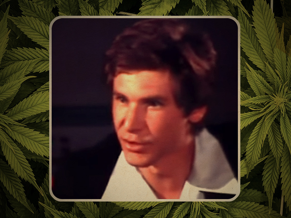Harrison Ford’s 1970s side-hustle supplying the stars: ‘That’s my pot dealer!’