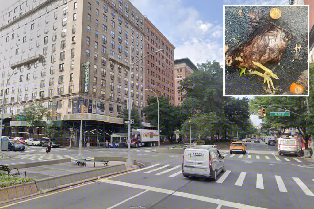 Pair of dead chickens found on NYC block for second time in 4 months, possibly part of ritual: experts