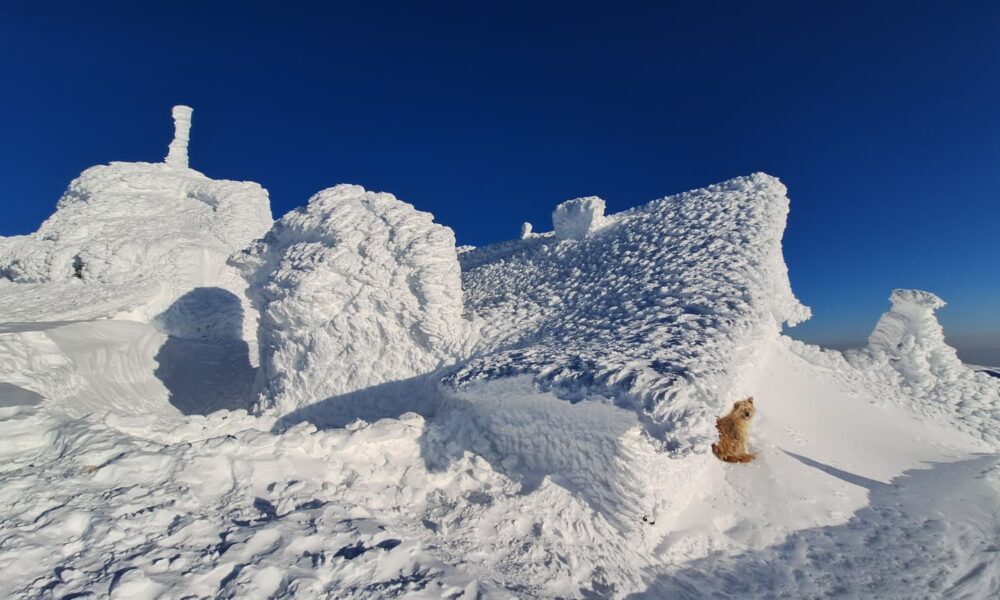 Prognoza meteo. Se întorc ninsorile în Moldova, strat nou de omăt şi la munte. Ger de crapă pietrele în depresiuni