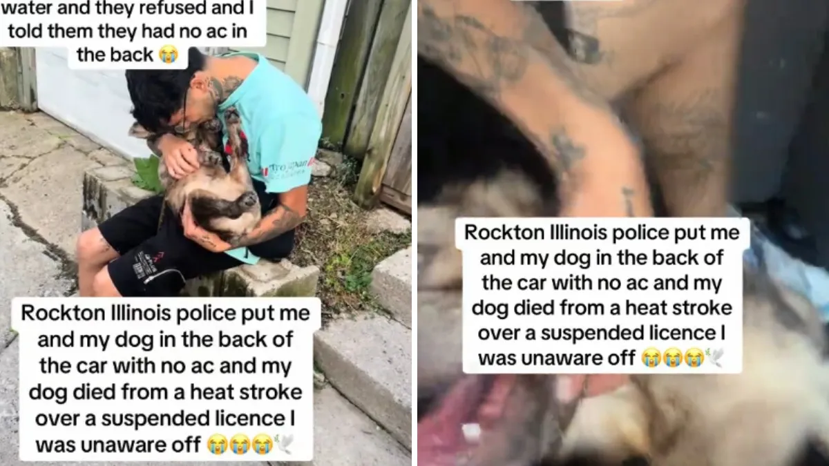 Man claimed his dog died in a hot police car after his arrest, but police told a very different story