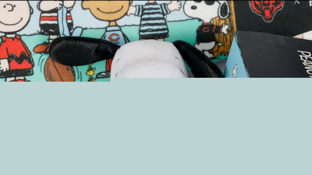 Chicago Bears collaborate with Peanuts for preseason game