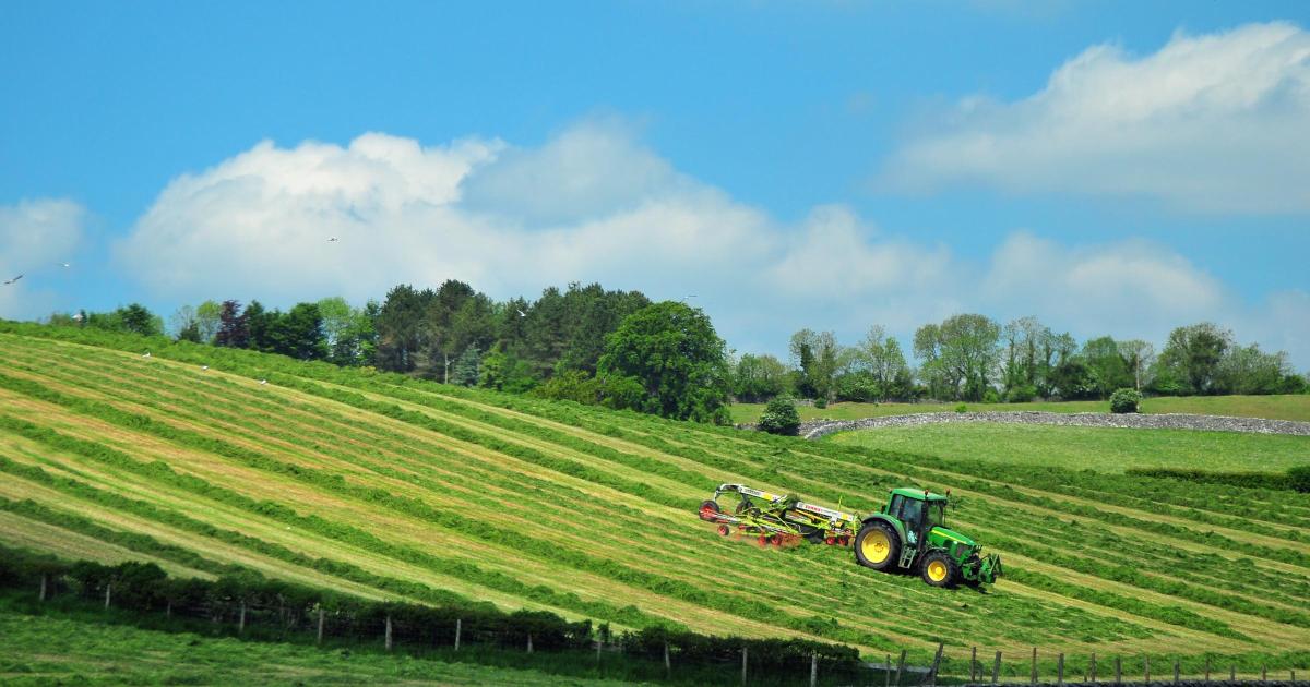 Farmland values edge down as buyers become more selective