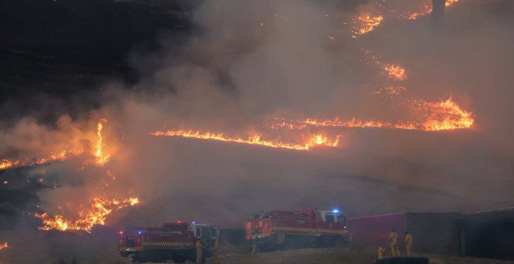 Fires and dry force early turn off of cattle in Victoria