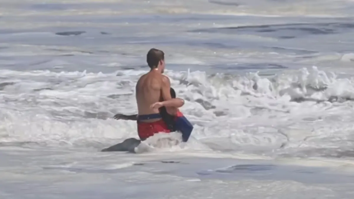 Seabright Beach, California: Teen lifeguard Ryder saves child in huge waves, Trump invites him to White House
