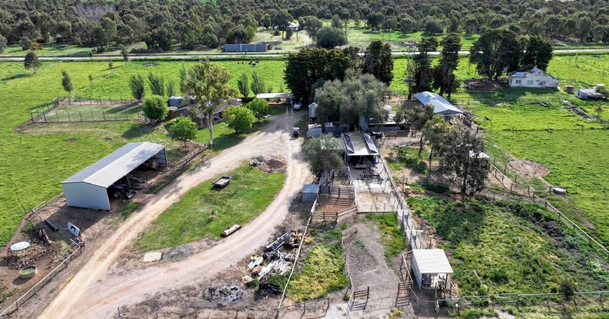 Family's long-held farm heads to public auction in central Victoria