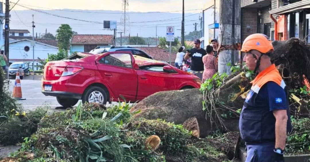 Pai e filho sobrevivem a carro esmagado por árvore na véspera do Dia dos Pais