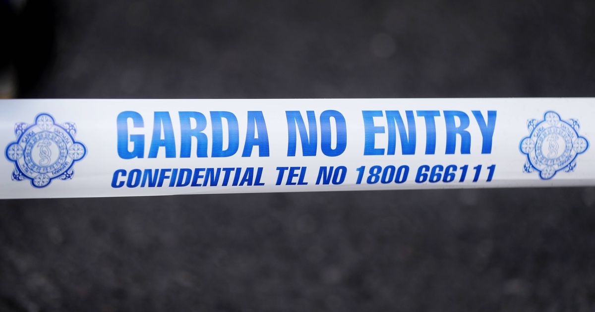 Bodies of man and young child discovered in Dublin home