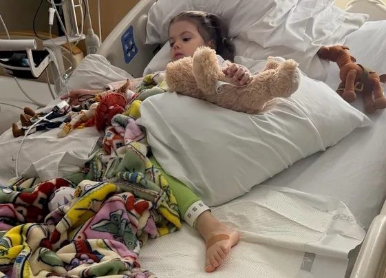 California child bitten by rattlesnake hiding beneath Amazon package