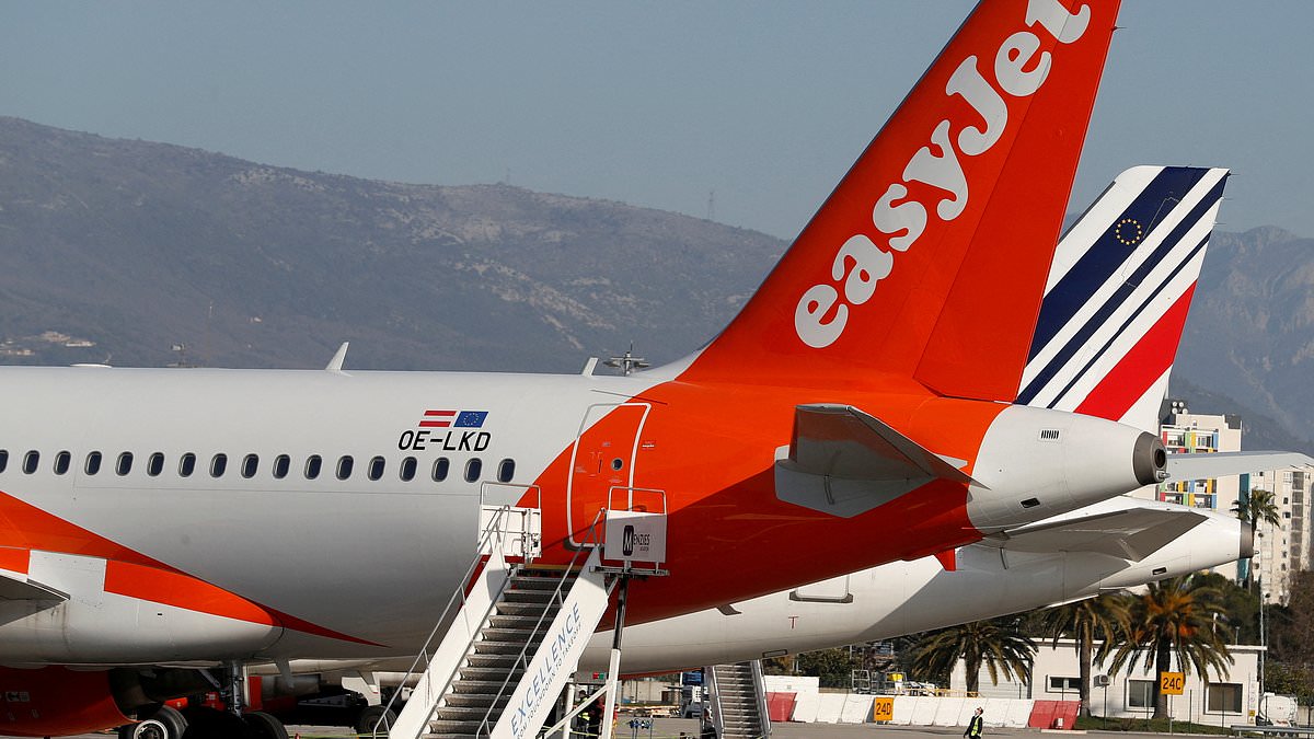 Easyjet blasts 'lunatic' EU plan to allow free baggage on board claiming it would cause delays and price hikes