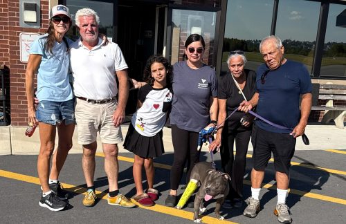 I-85 Crash Victim’s Dog Receives Free Vet Care in Lavonia for Serious Injuries, Then Flown Home to Pennsylvania