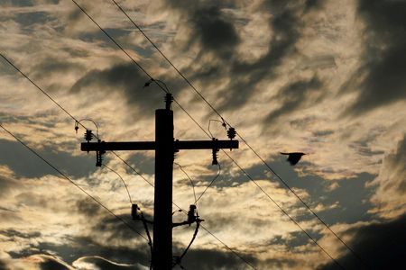 Forecast record electricity demand to test largest US power grid, blackout chances rise