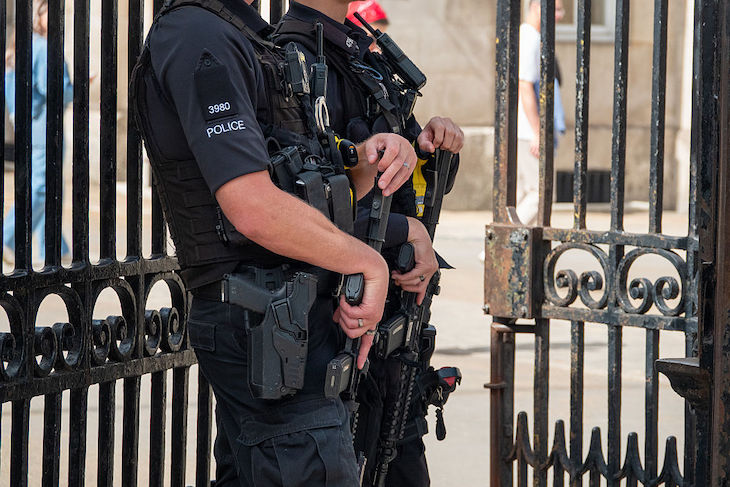 The police are too tooled up for their – and our – good