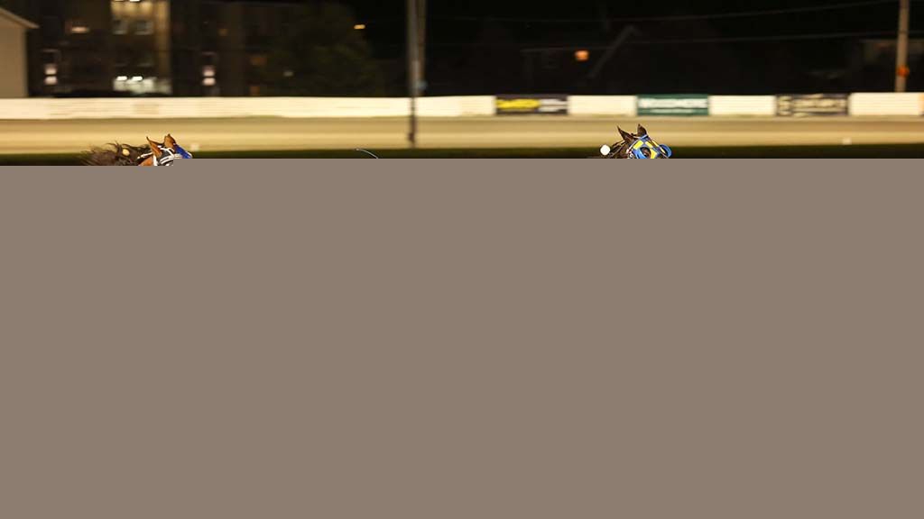 Twin B Tuffenuff hangs on in feature