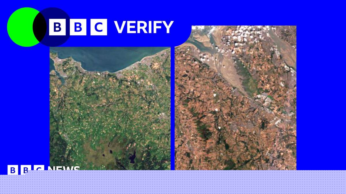 Satellite images show impact of heatwaves and drought on UK landscape