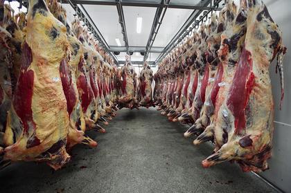 Cattle futures climb on tight supply, strong beef demand - CME