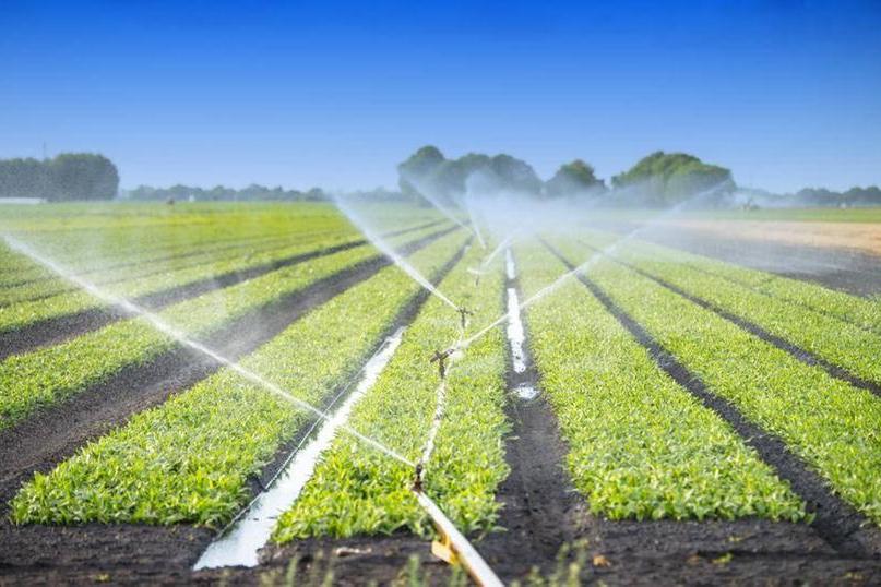 Arthur D. Little: Water as an Economic Driver for GCC Resilience