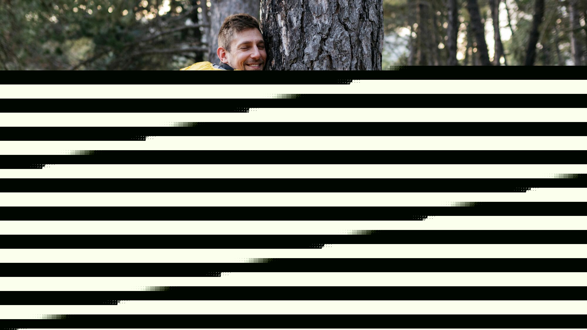 Placement: acheter une forêt, une bonne idée?