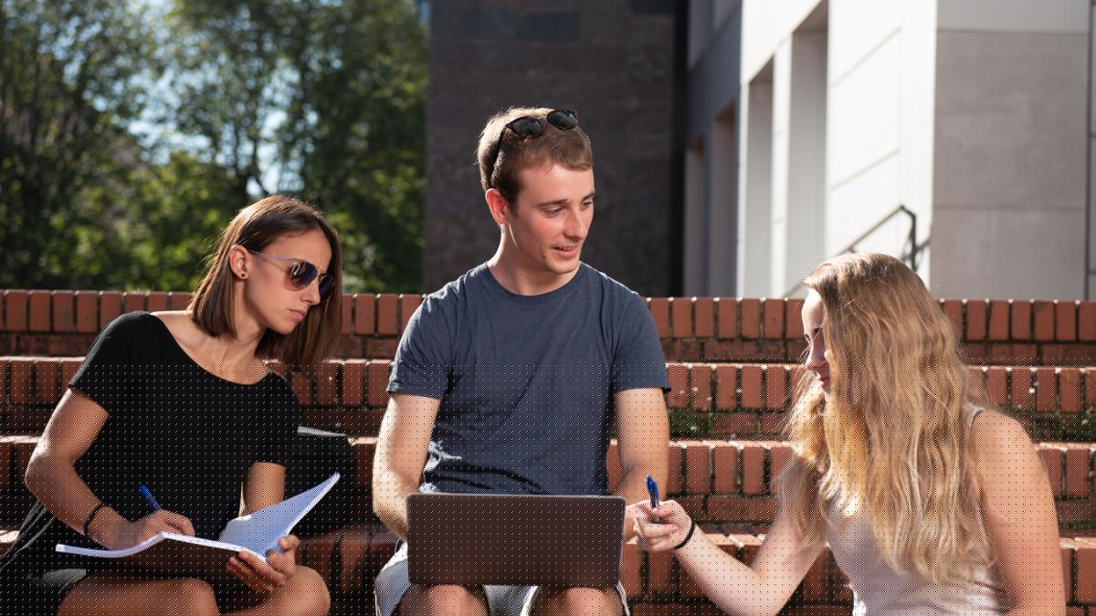 Universitățile, în fața unei revoluții fără precedent. AI schimbă totul, de la examene la plagiat