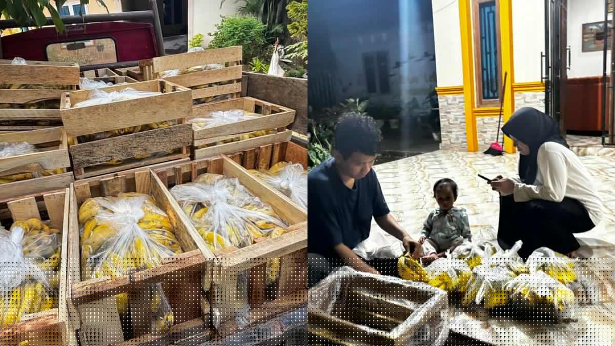 Kronologi Orderan Pisang Jutaan Rupiah untuk MBG Mendadak Dibatalkan