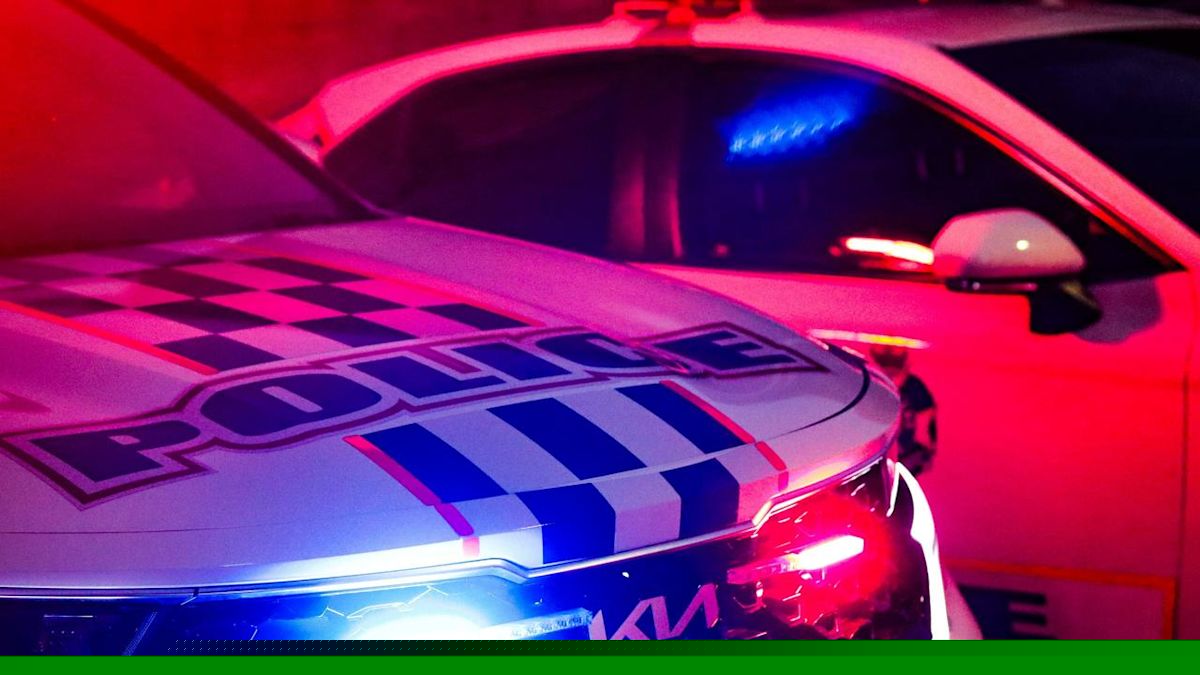 Two shot by police during altercation