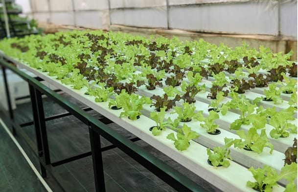 Has precision farming's moment arrived?