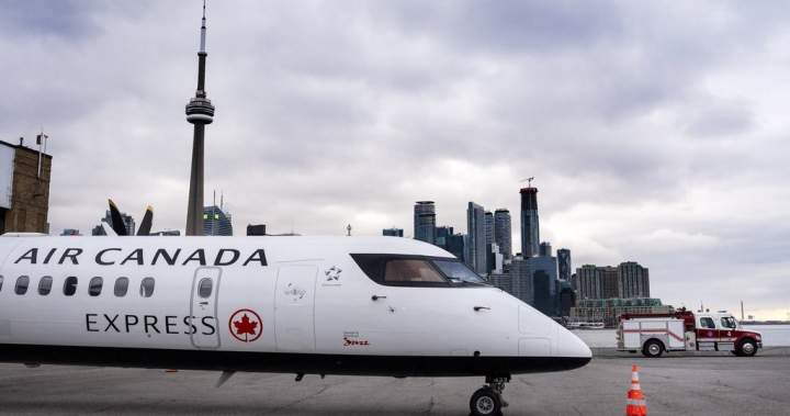 Feds’ rejection of island airport plan prevents waterfront ‘destruction’: advocates