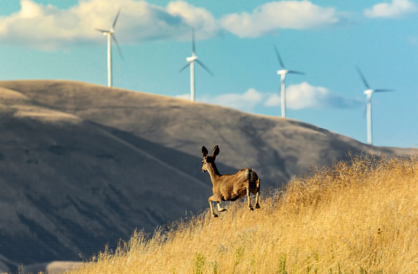 Oregon and Washington sue Hegseth’s Pentagon over refusal to approve wind turbines