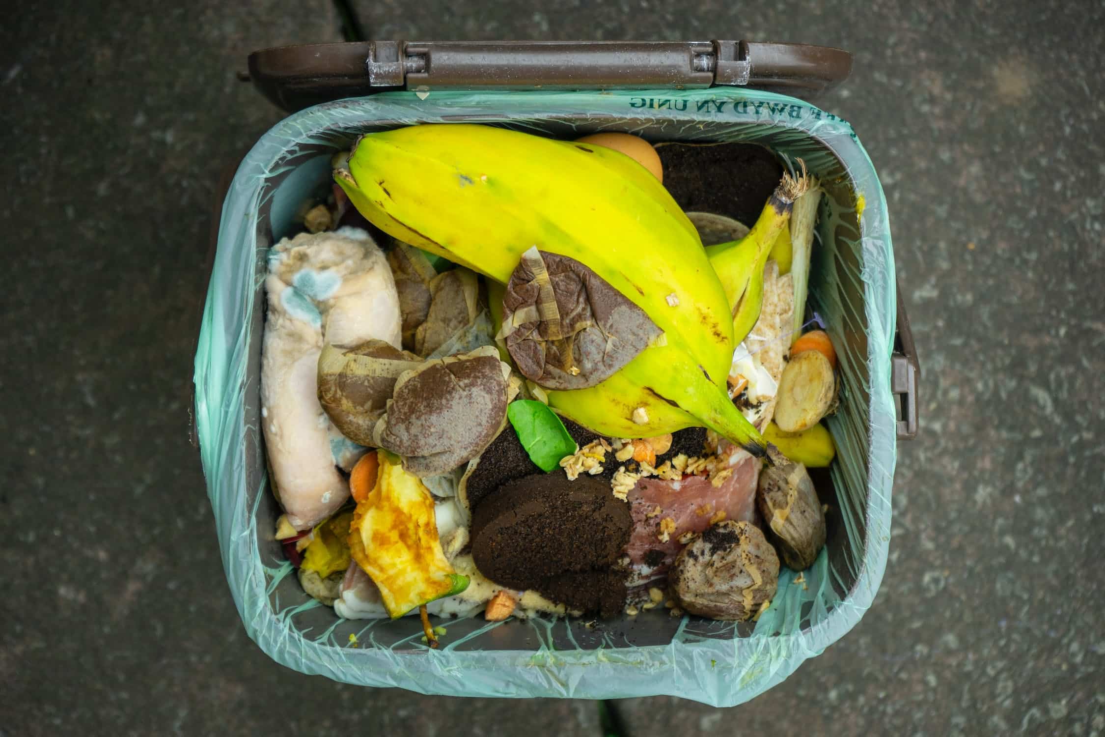 Food changes could halve global emissions