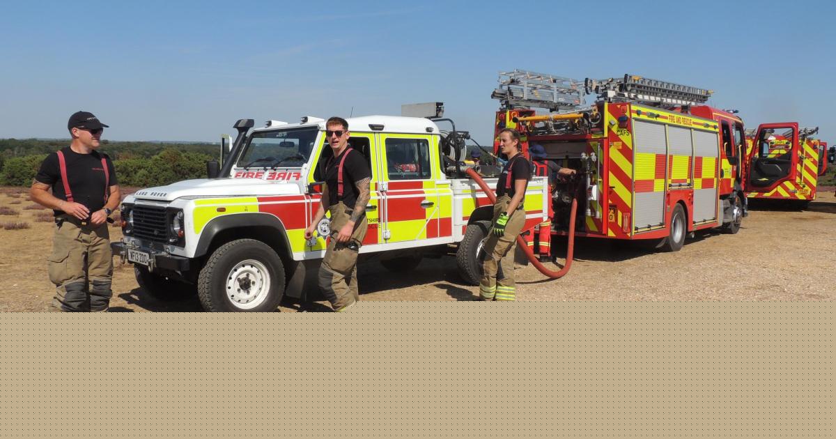 Fire breaks out near one of the New Forest's best-known landmarks