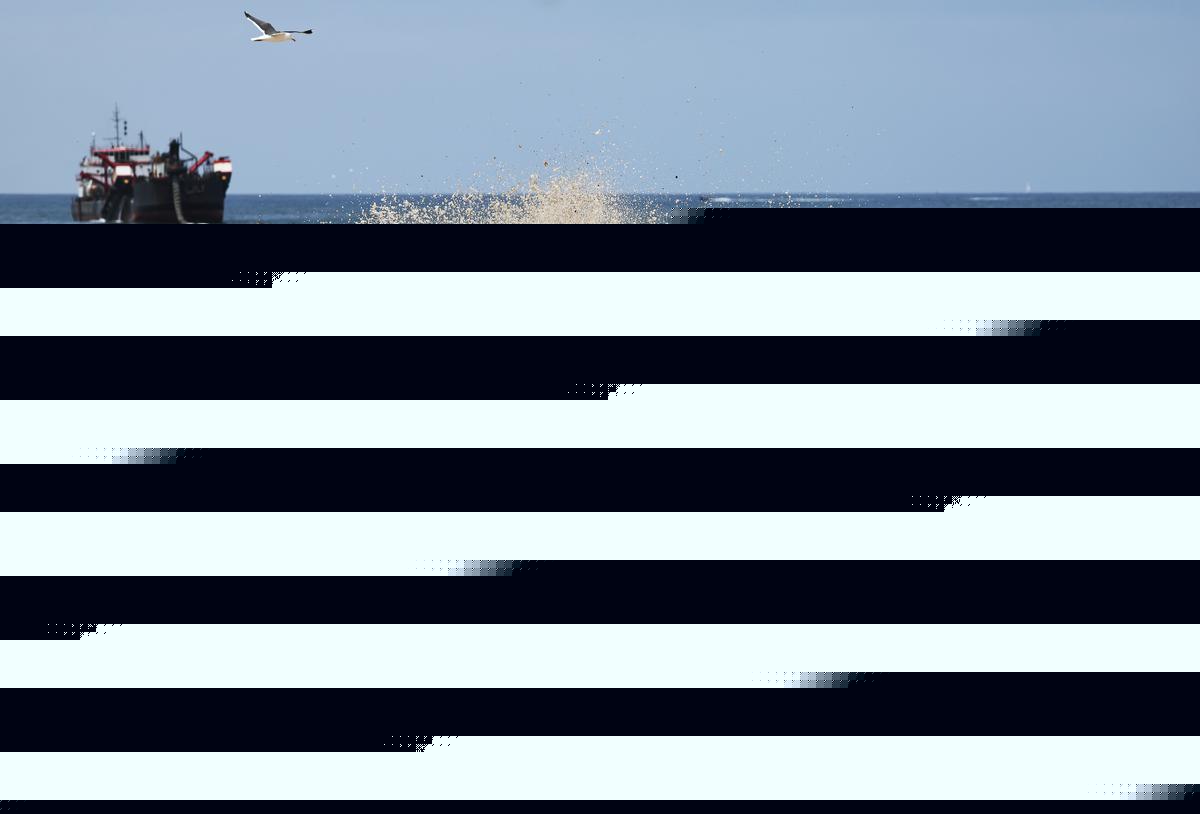 Beach replenishment is futile — so why must we keep doing it?