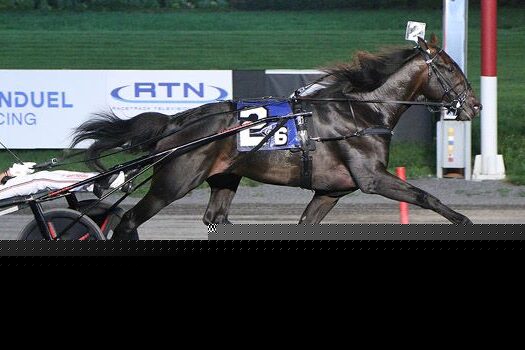 North American News – Hambletonian elims set the stage at Big M