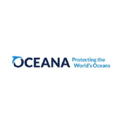 Nations Ratify High Seas Treaty, Setting Stage for Greater Ocean Protection