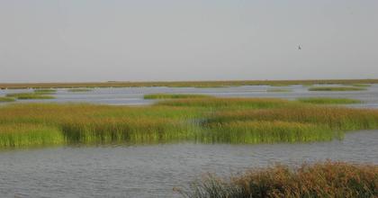 Doñana National Park