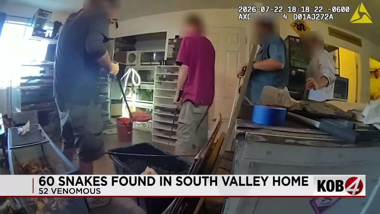 52 venomous snakes found during drug raid at Albuquerque home