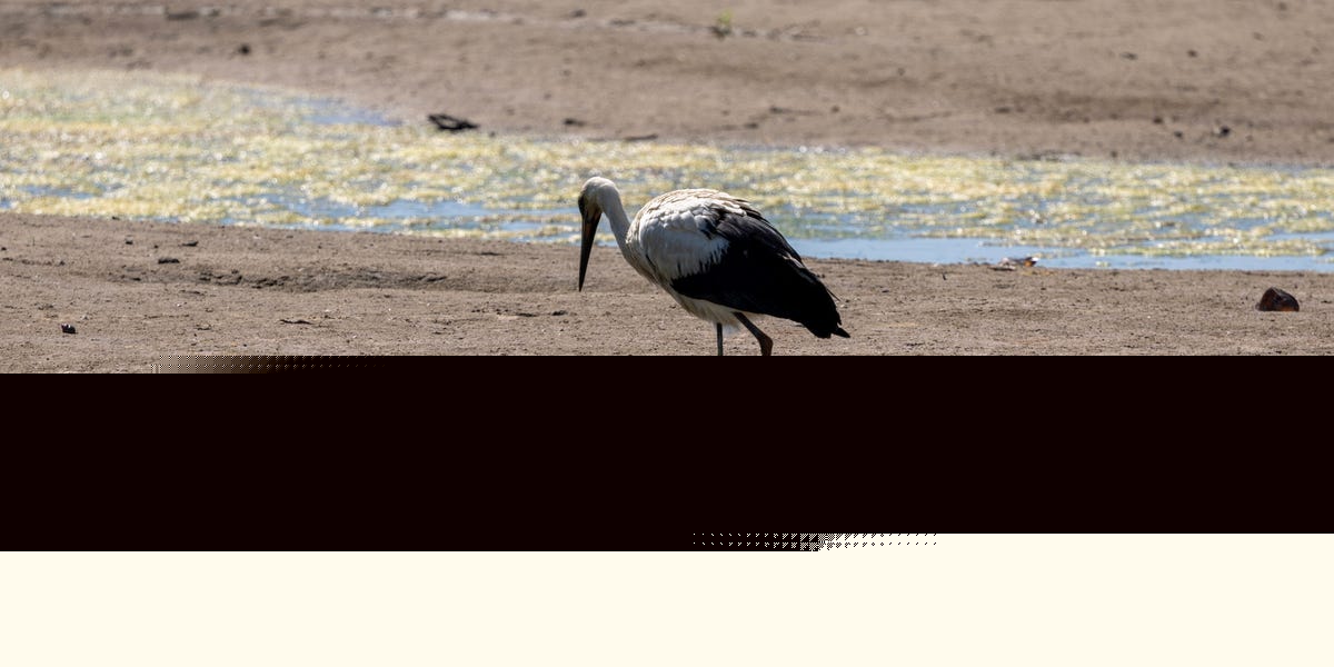 Uh, We’re Running Out of Sand—And It’s a Bigger Problem than You Might Think