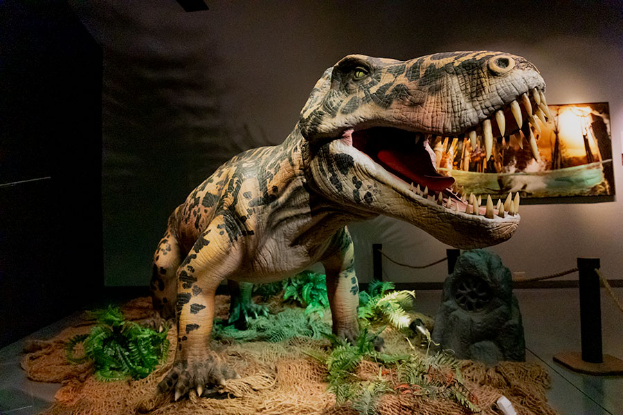 Museum of Idaho set to launch new exhibit exploring ‘Life Before Dinosaurs’