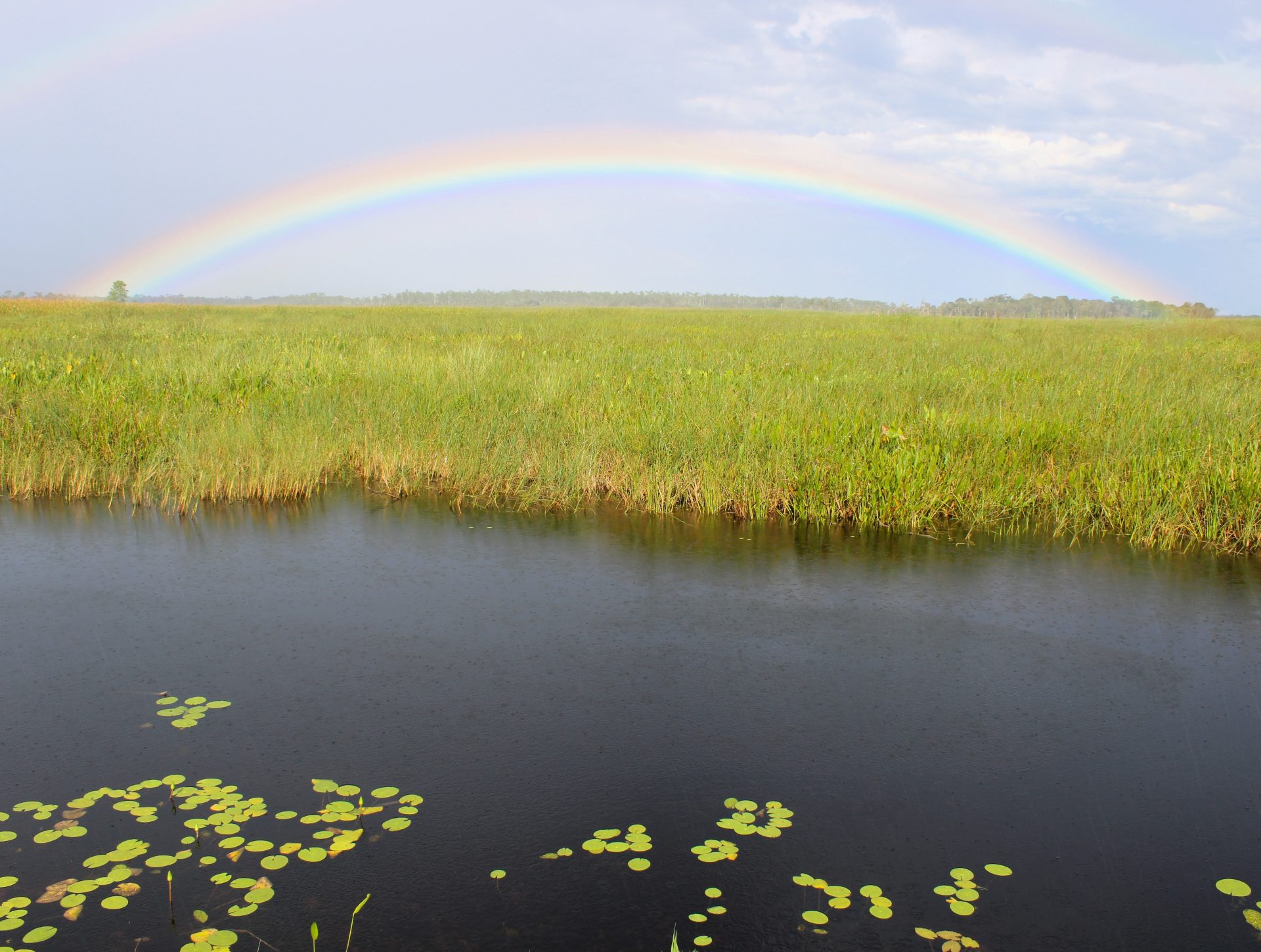 Publix Reaches Milestone In Florida Everglades Projects