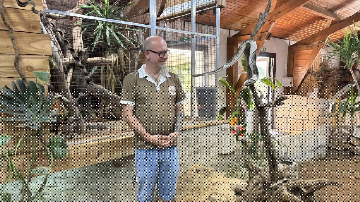 "Les serpents m'ont appris à dépasser ma peur" : mordu à cinq ans, cet ancien phobique s'est finalement passionné pour les reptiles et a créé un parc zoologique recensant une soixantaine d'espèces