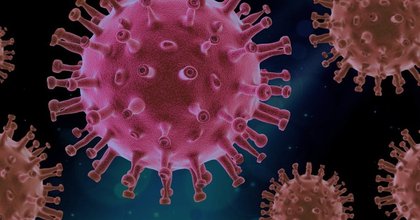 Singapore Steps Up Border, Health Measures After Nipah Virus Cases Reported in India
