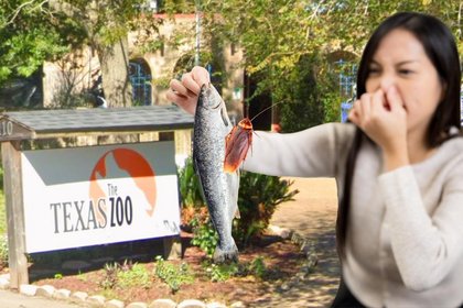 Name a Roach After Your Ex at the Texas Zoo This Valentine’s Day