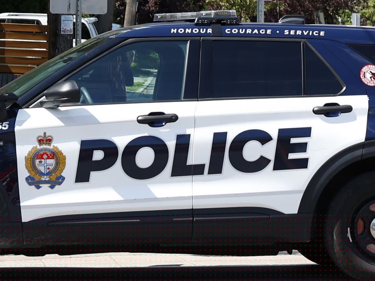 Ottawa police investigating several ‘concerning’ sexual assaults