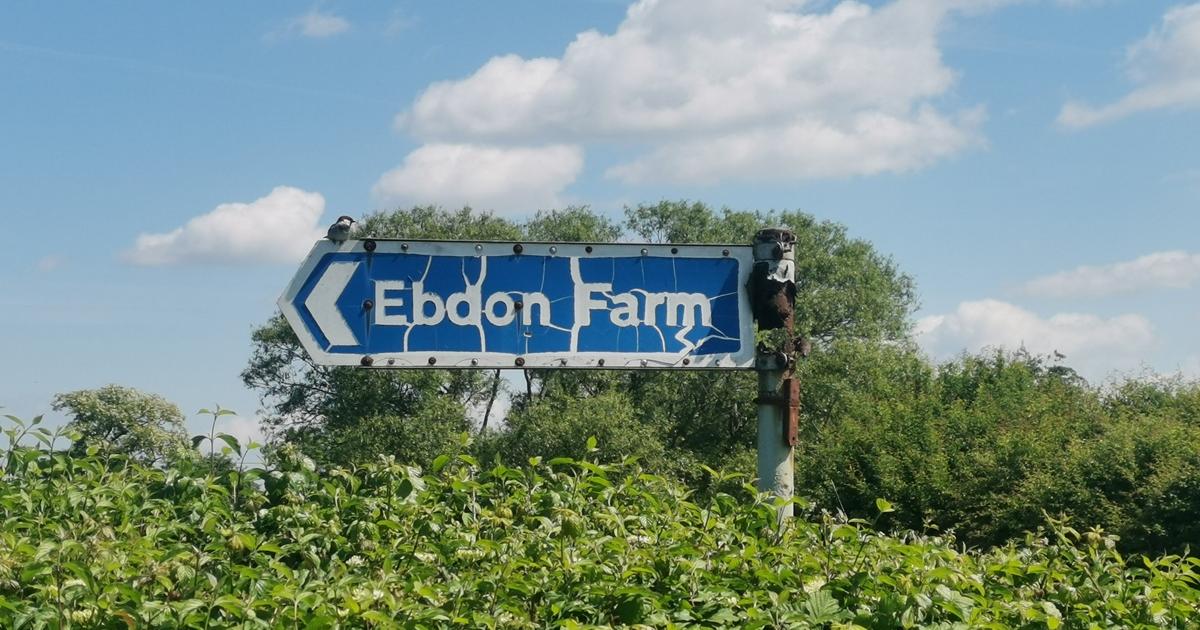 Ex-North Somerset dairy farm set to become nature reserve