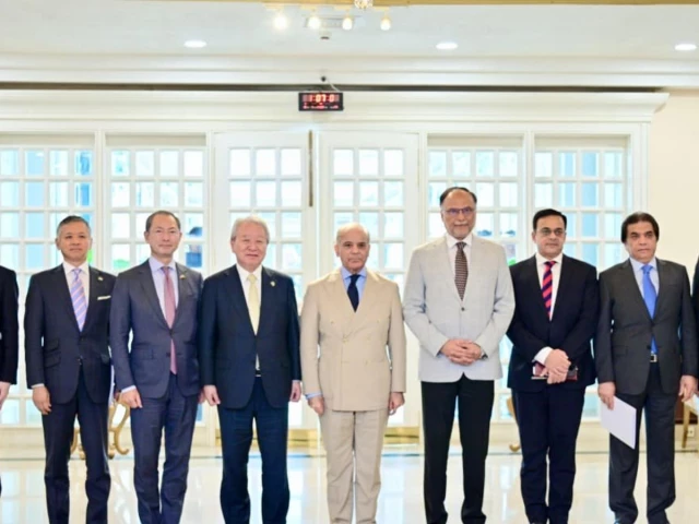 PM Shehbaz seeks expanded JICA cooperation in skills, minerals and SME development